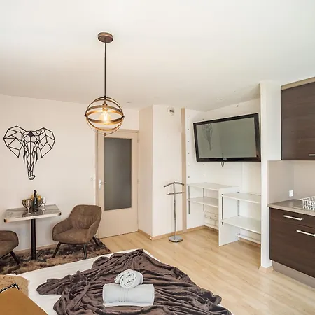 Appartement Voltaire Elephant Suite-5min Centre- Parking Privé Troyes